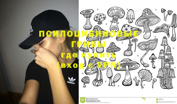спайс Алексин