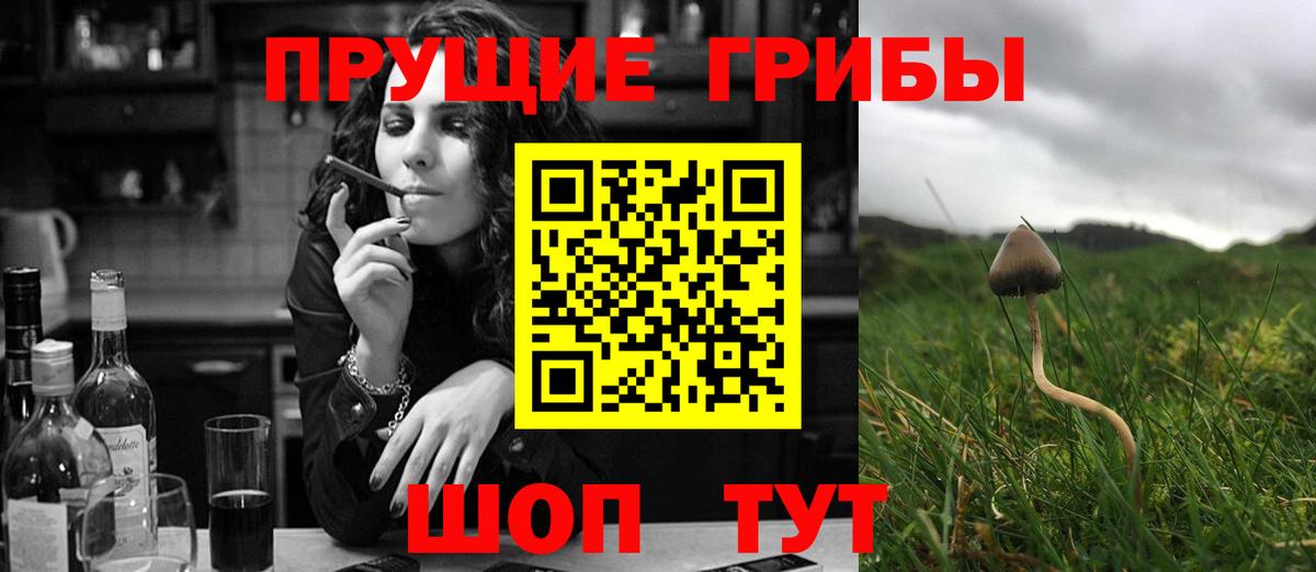 Галлюциногенные грибы GOLDEN TEACHER Крымск