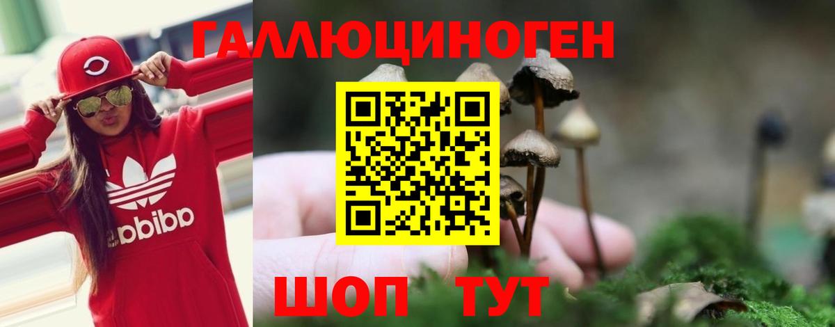 Крымск  Псилоцибиновые грибы Psilocybe  Псилоцибиновые грибы Psilocybine cubensis  Вход с VPN 